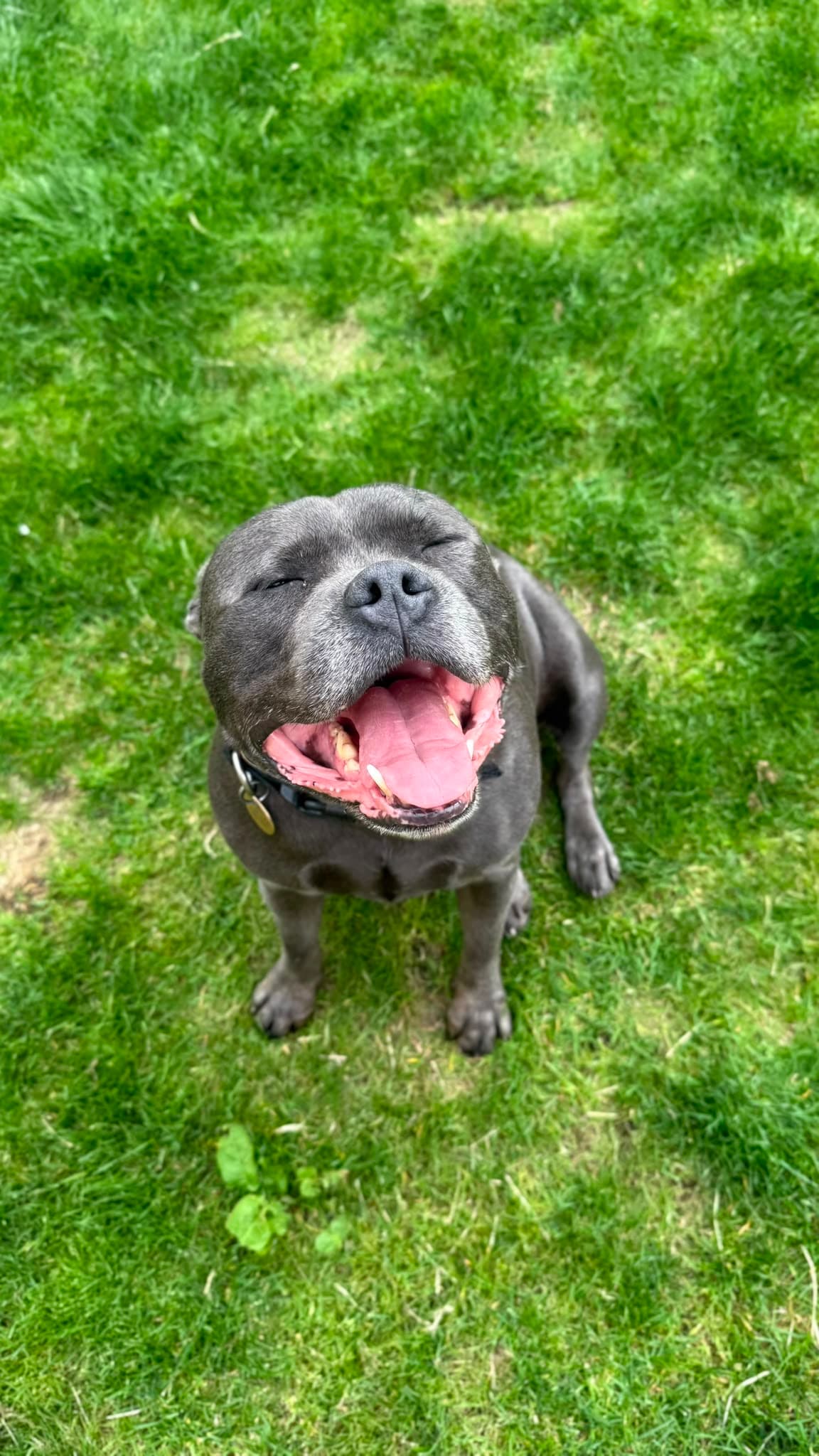 A happy Pet Care Family UK guest