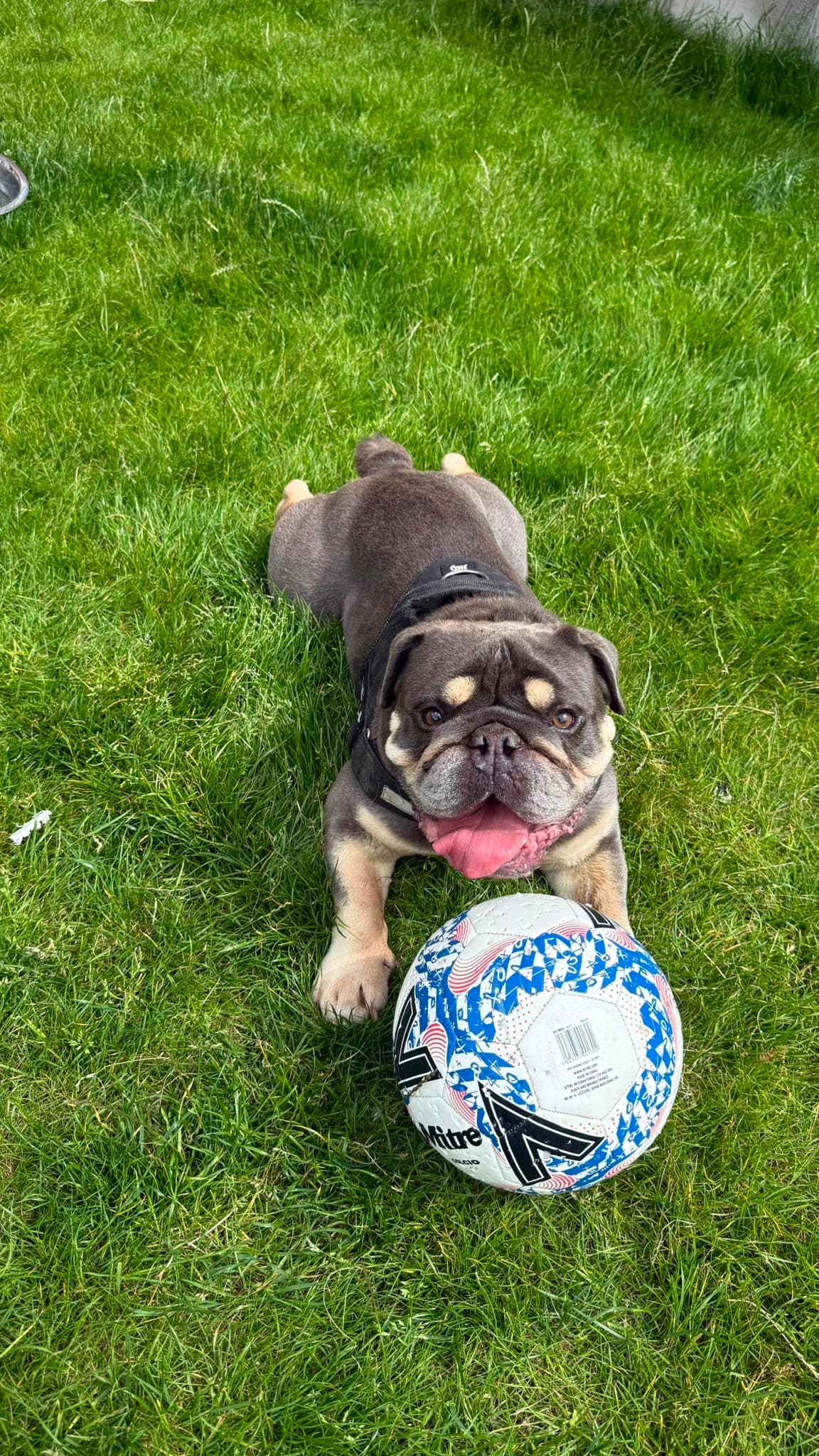 A happy Pet Care Family UK guest